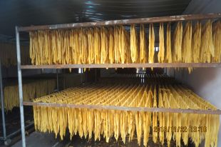 上海腐竹的生产