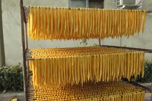 上海腐竹制作技术